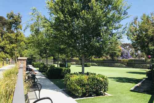 Three Sixty dog park